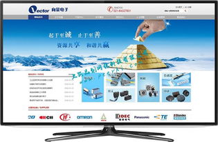 閔行網(wǎng)站建設(shè)與網(wǎng)絡(luò)開發(fā) 打造專業(yè)、高效的在線平臺(tái)