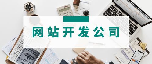 3家專業(yè)網(wǎng)站開(kāi)發(fā)公司簡(jiǎn)介 哪家的網(wǎng)站建設(shè)服務(wù)更適合你的運(yùn)營(yíng)管理需求？